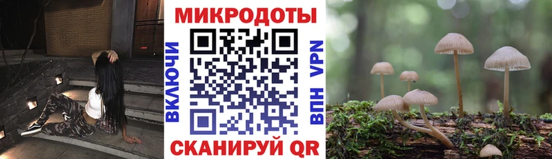 Псилоцибиновые грибы Psilocybe  Славгород 
