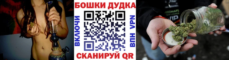 MEGA ссылки  Славгород  Бошки марихуана индика 
